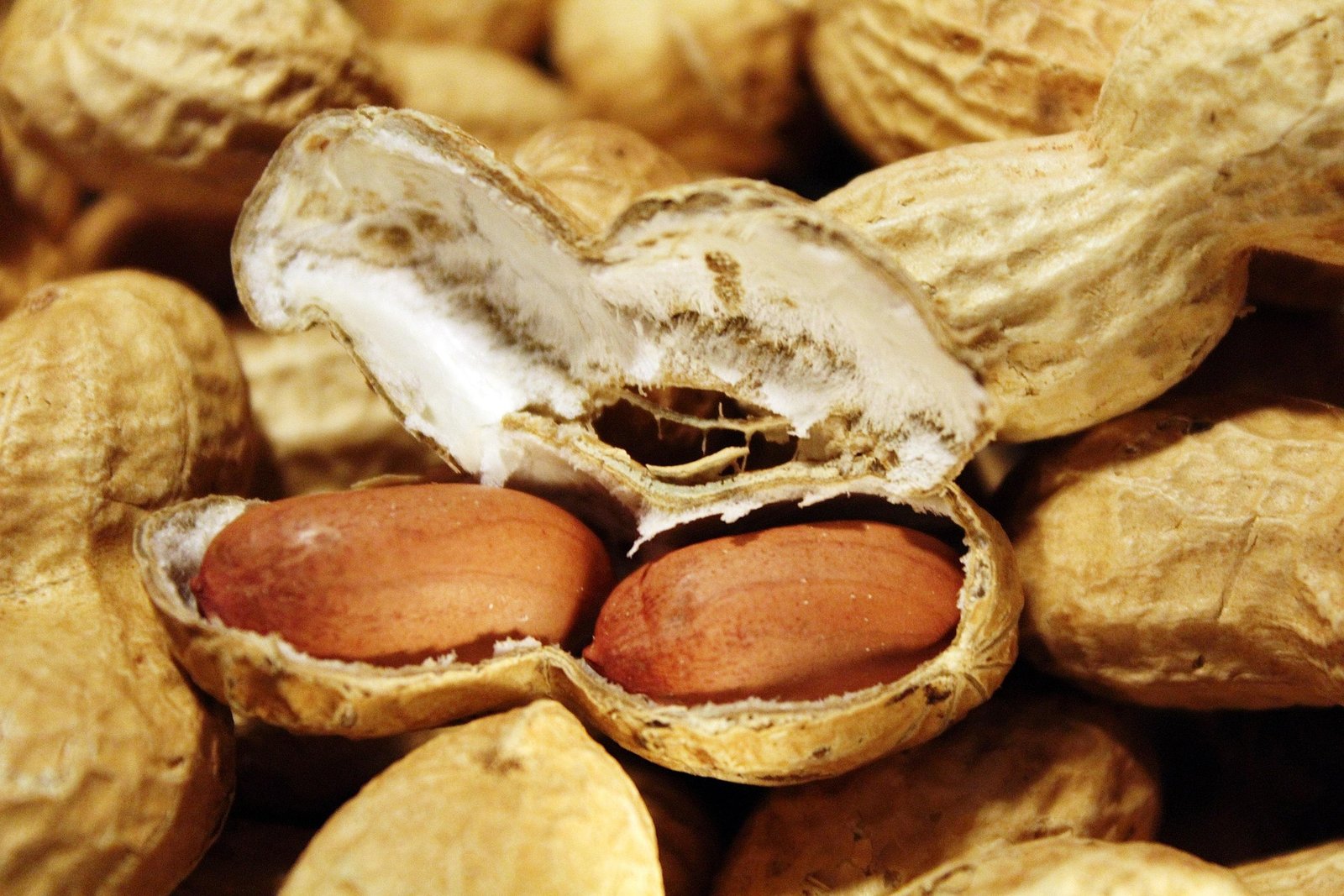 Tantetati Peanuts 1046140 1920 Tantetati Peanuts 1046140 1920